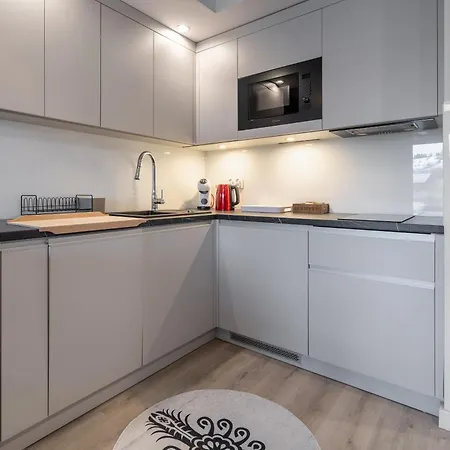 Rentplanet - Zakopianskie Lejlighed *